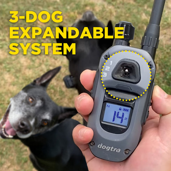 Dogtra 280X Dog Training Collar - Upto 800m range