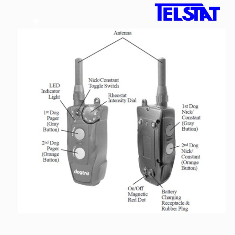Dogtra 202C 2-pack Dog Training Collar