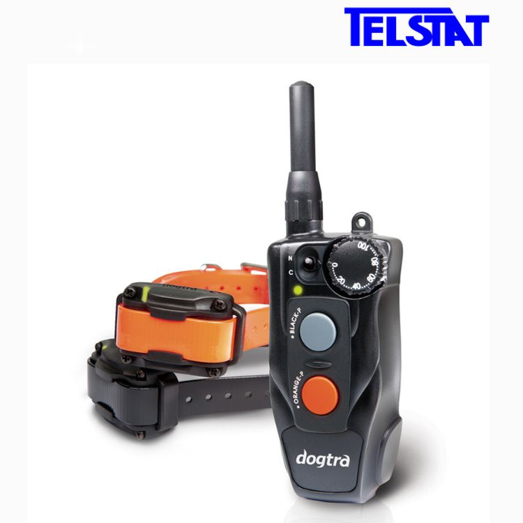 Dogtra 202C 2-pack Dog Training Collar