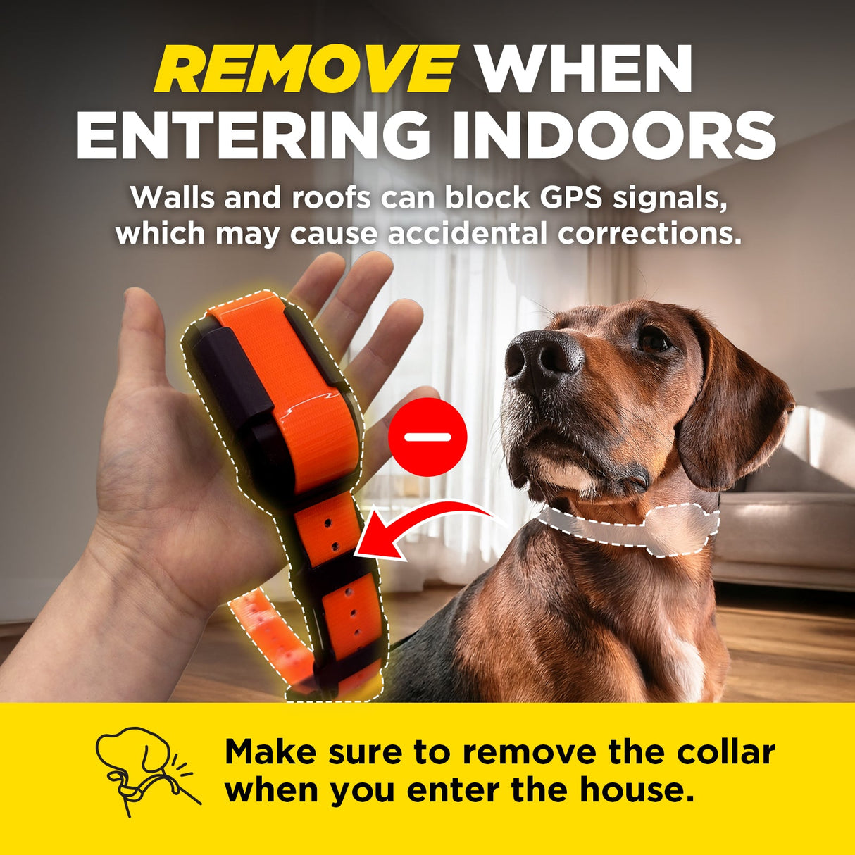 Dogtra Pathfinder 2 Mini GPS Dog Track & Train System