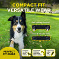 Dogtra 200iQ 2 Dogs Training System - 800M