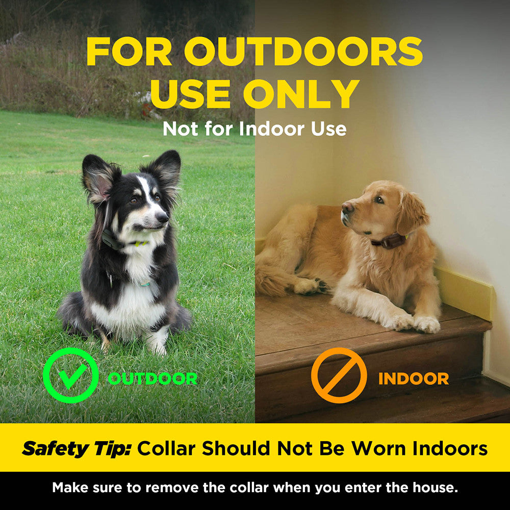 Dogtra GPS Dog Fence - Min 3000sqm
