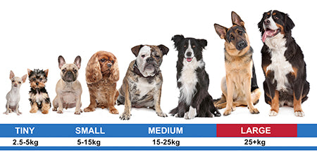 Dogtra 1900X Remote Dog Training Collar - upto 1200m range