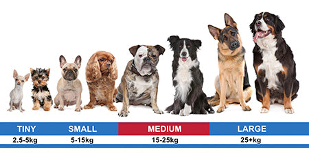 Dogtra ARC Dog Training Collar - upto 1200m range