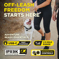 Dogtra 200iQ 2 Dogs Training System - 800M