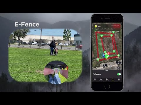 Dogtra Pathfinder 2 GPS Dog Track & Train System