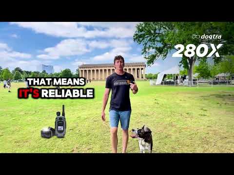 Dogtra 280X Dog Training Collar - Upto 800m range